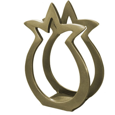 Aluminum Napkin Holder Pomegranate Shape (EM-NHMC-1C) - Riverdale Judaica