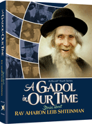 A Gadol In Our Time: Stories about Rav Aharon Leib Shteinman - Riverdale Judaica