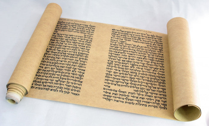 Paper Megillah Scroll For Children Large 9"  MG-M09