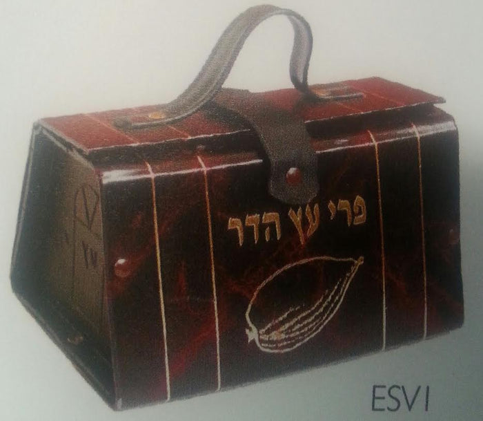 Etrog Box Vinyl with Handle Brown / Gold (ES-ESV1)