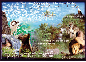 Laminated Poster 20" x 28"-- Ma Rabu (P628) - Riverdale Judaica