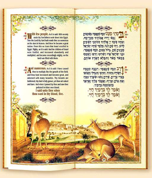 The Spring Haggadah Matan Art Hebrew / ENGLISH (BK-HGAV) - Riverdale Judaica