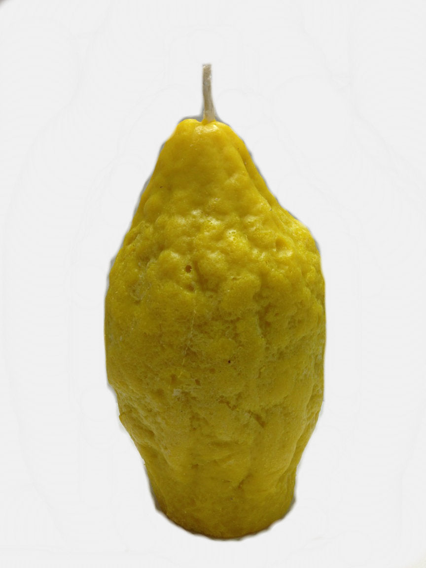 Havdallah Candle Etrog Shape 3"x6" (HV-HMC3X6E) - Riverdale Judaica