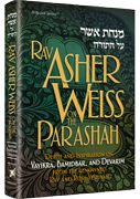 Rav Asher Weiss Parashah Vayik/Bamid/Devarim - Riverdale Judaica