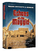 ECHOES OF THE MAGGID [Rabbi P. Krohn] (H/C) - Riverdale Judaica