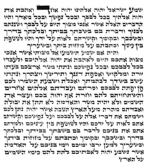 Mezuzah Scroll - 100% Kosher Handwritten on Parchment - Riverdale Judaica