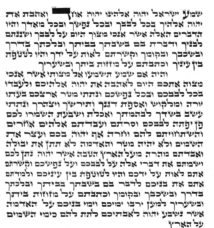 Mezuzah Scroll - 100% Kosher Handwritten on Parchment