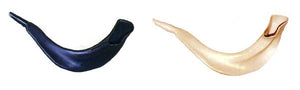 Real Looking Plastic Shofar (SH-SHPL) - Riverdale Judaica