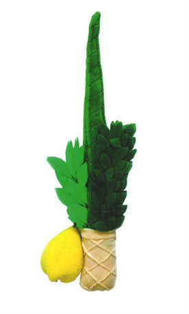 Soft Lulav And Etrog For Kids (LT-SL) - Riverdale Judaica