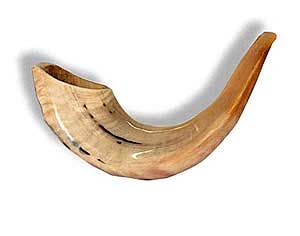 Shofar (Ram Horn)