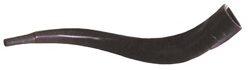 Real Looking Plastic Yemenite Shofar (SH-SHPLY)