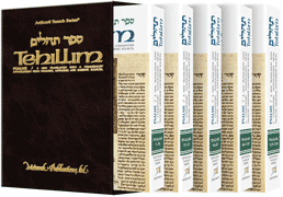 TEHILLIM - 5 VOLUME PERSONAL-SIZE SET - Riverdale Judaica