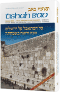 TISHAH B'AV: Texts, Readings and Insights (H/C)