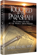 Touched by the Parashah Vayikra/Bamidbar/Deva - Riverdale Judaica