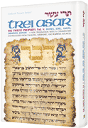 TREI ASAR I / TWELVE PROPHETS I (Hard cover) - Riverdale Judaica