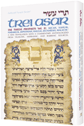 TREI ASAR II / TWELVE PROPHETS II (Hard cover - Riverdale Judaica